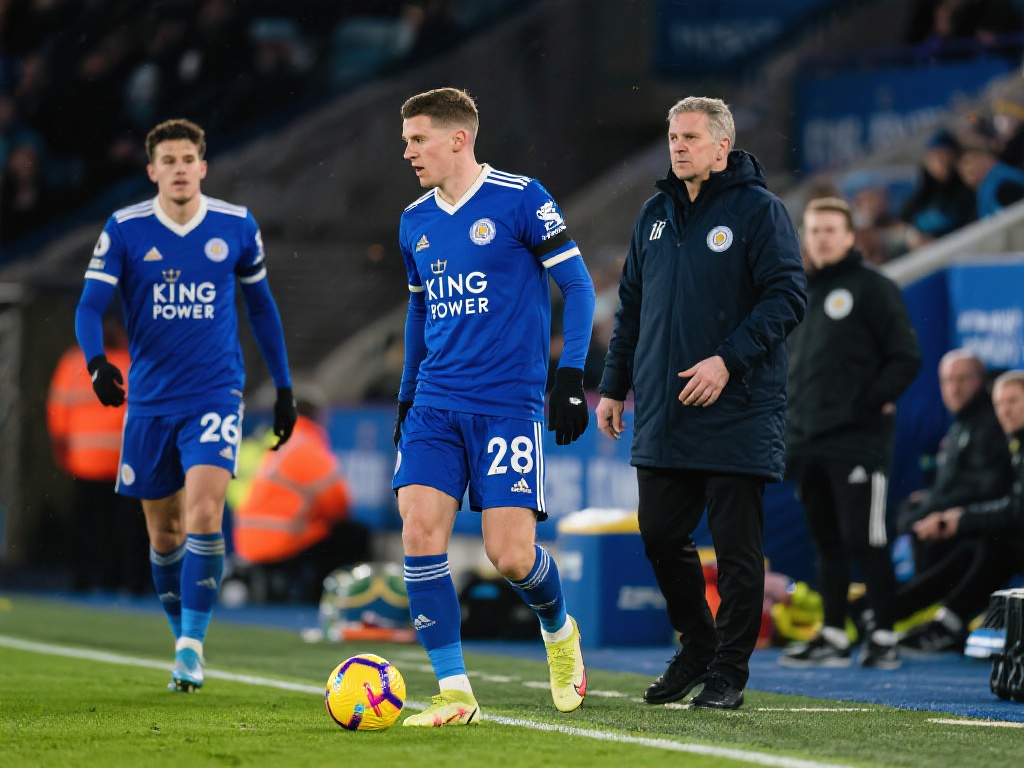 水平的足球 水平的足球